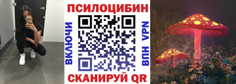 Купить где  Гдов  Галлюциногенные грибы Magic Shrooms 