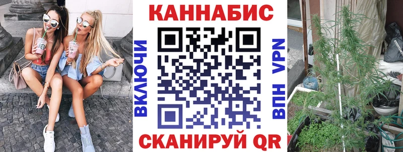 Купить где  Гдов  Каннабис планчик 